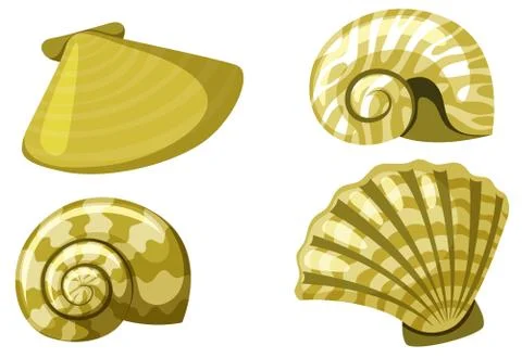 Set of isolated set of seashells in yellow color 스톡 일러스트