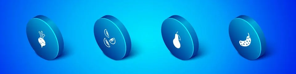 Set Isometric Beet, Pear, Fresh cucumber and Tomato icon. Vector Stock Illustration