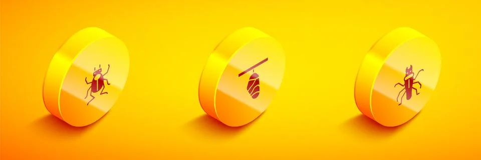Set Isometric Beetle bug, Butterfly cocoon and Termite icon. Vector Stockillustratie