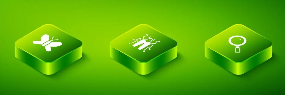 Set Isometric Beetle bug, Magnifying glass and Butterfly icon. Vector 스톡 일러스트