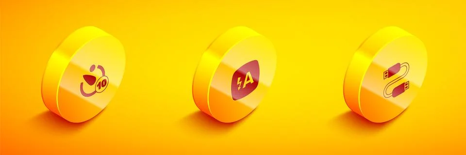 Set Isometric Camera timer, Auto flash and USB cable cord icon. Vector Stock Illustration