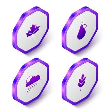 Set Isometric Canadian maple leaf, Pear, Cloud with rain and sun and Leaf icon Stock Illustration