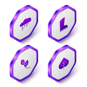 Set Isometric Cloud and lightning, Waterproof rubber boot, Leaf and icon. Purple Stock Illustration