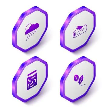 Set Isometric Cloud with rain and sun, Wooden log, Pickled cucumbers jar and Stock Illustration