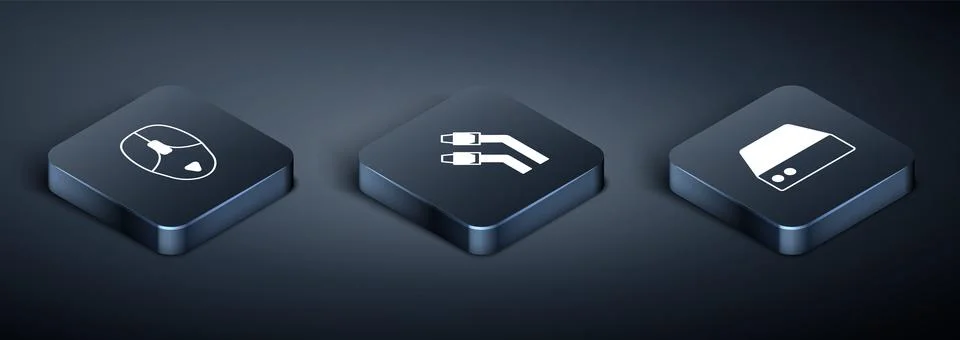 Set Isometric Computer mouse, Server, Data, Web Hosting and LAN cable network Illustrazione stock
