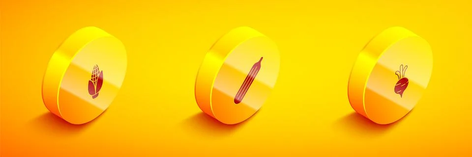 Set Isometric Corn, Fresh cucumber and Beet icon. Vector Stock Illustration