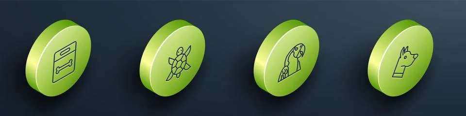 Set Isometric Dog bone, Turtle, Macaw parrot and head icon. Vector Stock Illustration