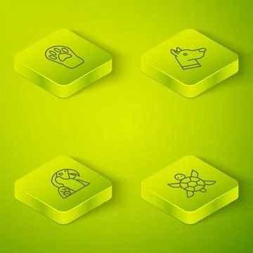Set Isometric Dog head, Macaw parrot, Turtle and Paw print icon. Vector Stock Illustration
