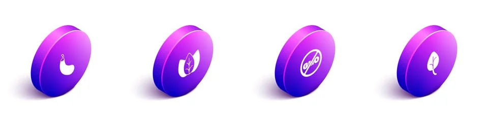 Set Isometric Eggplant, Leaf or leaves, No GMO and icon. Vector Stock Illustration
