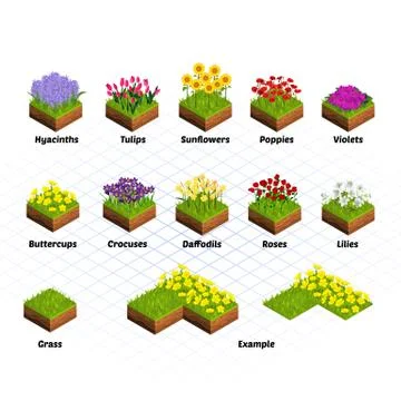 Set of Isometric Flowers Vector Illustration Stock Illustration