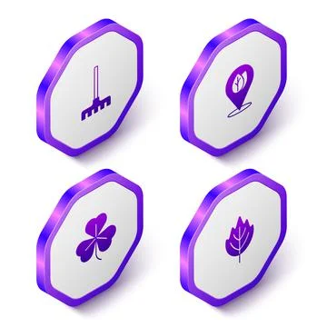 Set Isometric Garden rake, Location with leaf, Clover and Leaf icon. Purple Stock Illustration