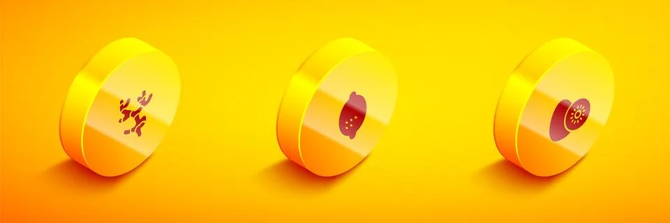 Set Isometric Ginger root, Lemon and Kiwi fruit icon. Vector Ilustración de archivo