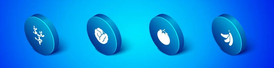 Set Isometric Ginger root, Tomato, Banana and Cabbage icon. Vector Stock Illustration