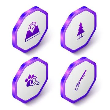 Set Isometric Hunt place, Tree, Paw search and Hunting gun icon. Purple hexagon 스톡 일러스트
