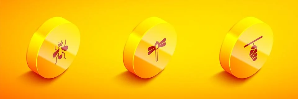 Set Isometric Insect fly, Dragonfly and Butterfly cocoon icon. Vector Illustrazione stock
