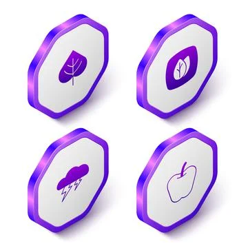 Set Isometric Leaf, Cloud and lightning and Apple icon. Purple hexagon button Stock Illustration