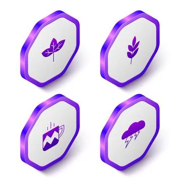 Set Isometric Leaf, Cup of tea and Cloud and lightning icon. Purple hexagon Stock Illustration