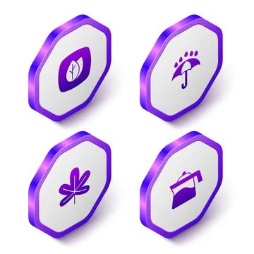 Set Isometric Leaf, Umbrella and rain drops, Chestnut leaf and Teapot icon 스톡 일러스트