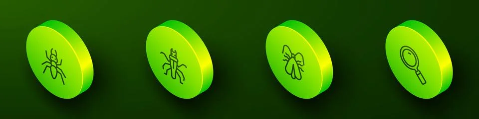 Set Isometric line Ant, Termite, Clothes moth and Magnifying glass icon. Vect Stock Illustration