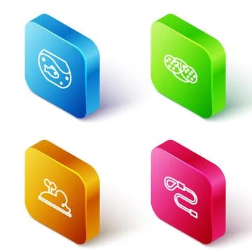 Set Isometric line Aquarium with fish, Cat nose, Clockwork mouse and Retractable 스톡 일러스트