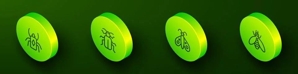 Set Isometric line Beetle bug, Chafer beetle, Butterfly and icon. Vector 스톡 일러스트