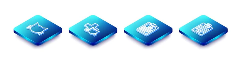 Set Isometric line Cat, Veterinary clinic, Clinical record pet and medicine Ilustración de archivo