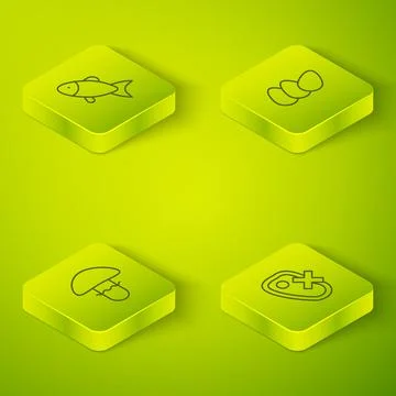 Set Isometric line Chicken egg, Mushroom, No meat and Fish icon. Vector Stock Illustration