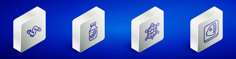 Set Isometric line Eel fish, Sea cucumber in jar, Turtle and Fish head icon Stock Illustration