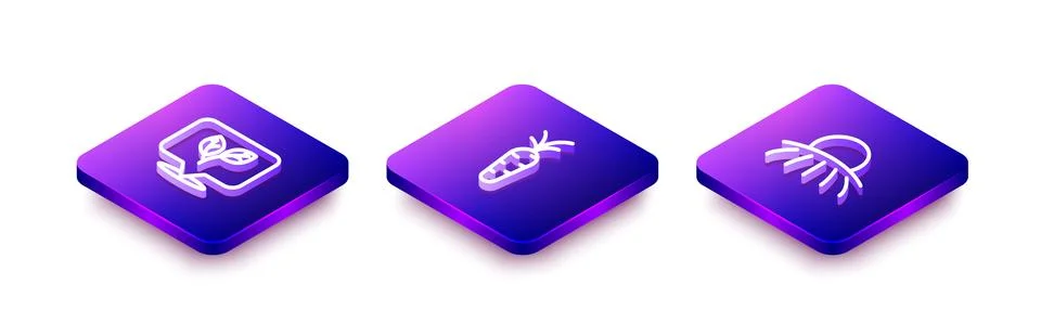 Set Isometric line Leaf, Carrot and Sunrise icon. Vector Stock Illustration