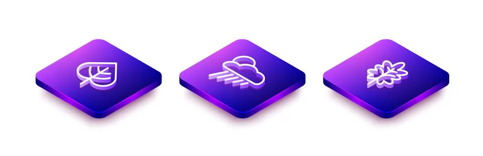 Set Isometric line Leaf, Cloud with rain and sun and icon. Vector Stock Illustration