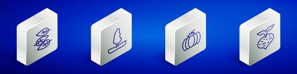 Set Isometric line Leaf or leaves, Tree, Pumpkin and Beet icon. Vector Illustrazione stock