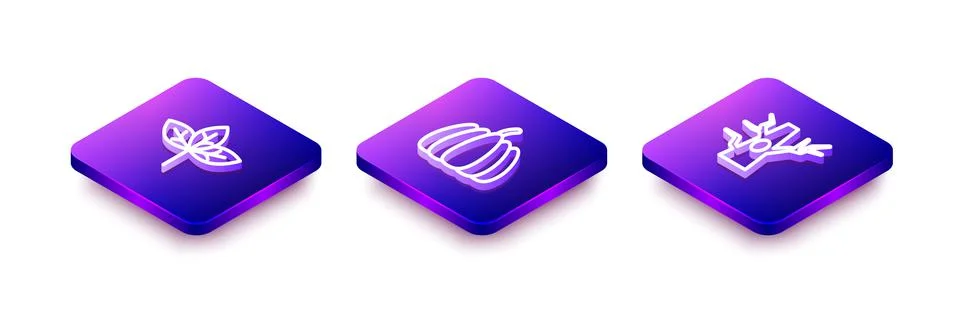Set Isometric line Leaf, Pumpkin and Bare tree icon. Vector Stock Illustration