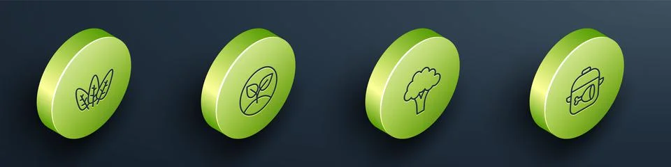 Set Isometric line Leaf, Sprout, Broccoli and Cooking pot and chicken leg icon Stock Illustration