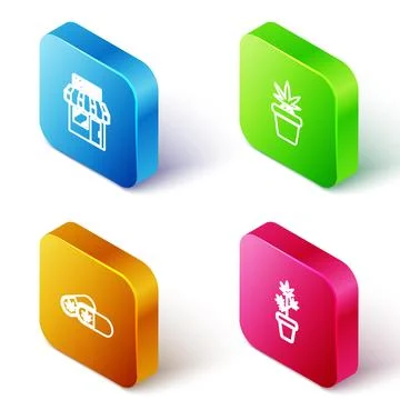 Set Isometric line Marijuana and cannabis store, plant in pot, Medical pills  Ilustración de archivo