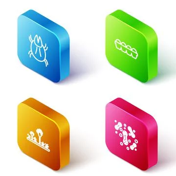 Set Isometric line Parasite mite, Chicken egg in box, Mold and Bacteria icon Stock Illustration