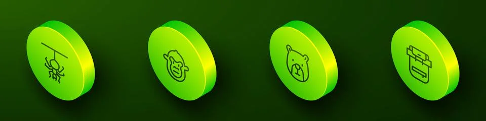 Set Isometric line Spider, Monkey, Bear head and Hiking backpack icon. Vector Stock Illustration
