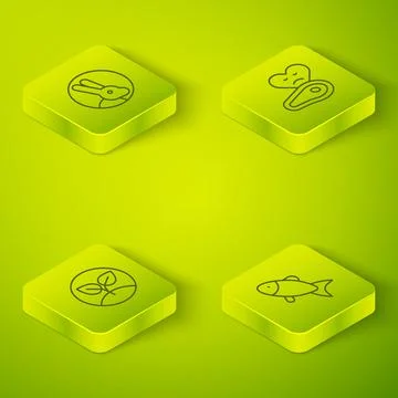Set Isometric line Steak meat, Sprout, Fish and Rabbit icon. Vector Illustrazione stock