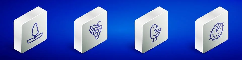 Set Isometric line Tree, Grape fruit, Little chick and Chestnut icon. Vector Illustrazione stock