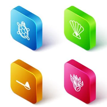 Set Isometric line Turtle, Scallop sea shell, Caviar on spoon and Seaweed icon 스톡 일러스트