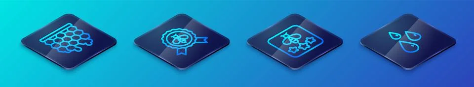 Set Isometric line Type of bee, Honeycomb, Drops honey and Best icon. Vector Stock Illustration