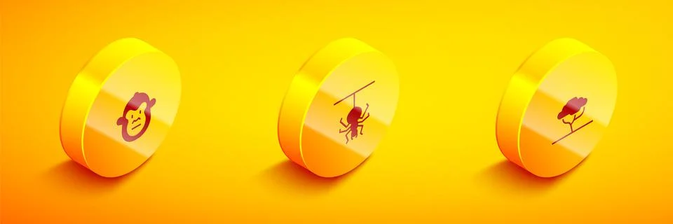 Set Isometric Monkey, Spider and African tree icon. Vector Stock Illustration