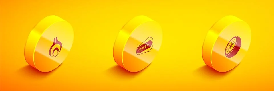 Set Isometric Onion, Cabbage and Orange fruit icon. Vector Stock Illustration