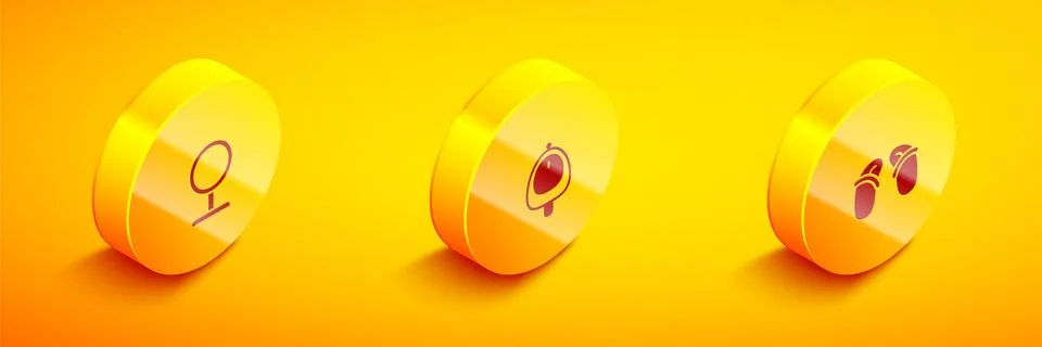 Set Isometric Round makeup mirror, Toilet urinal pissoir and Flip flops icon Stock Illustration