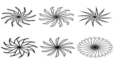 Set of isometric sun or flower shape outline isolated on white. Circular shape Stock Illustration