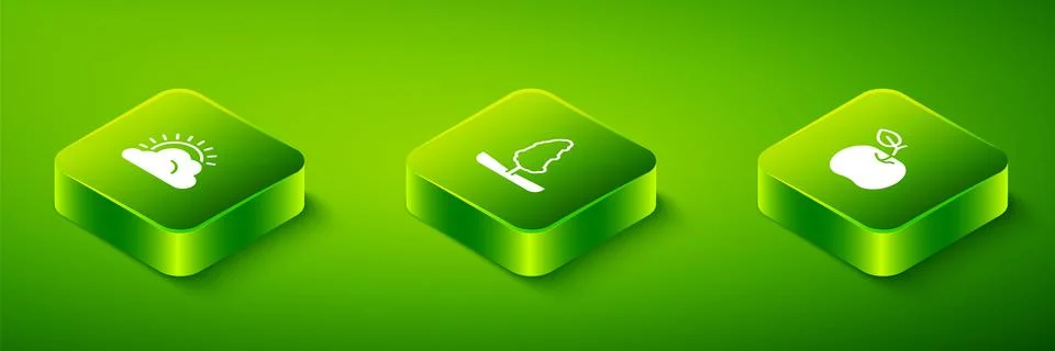 Set Isometric Tree, Apple and Sun and cloud weather icon. Vector Stock Illustration
