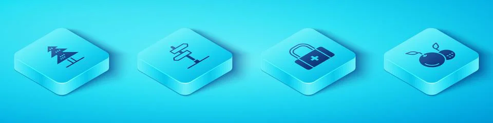 Set Isometric Tree, Road traffic sign, Fruit and First aid kit icon. Vector Stock Illustration
