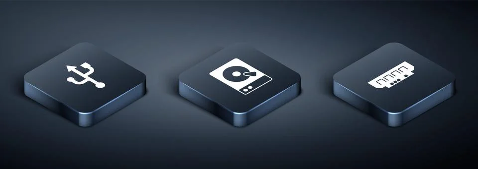 Set Isometric USB, RAM, random access memory and Hard disk drive HDD icon Illustrazione stock