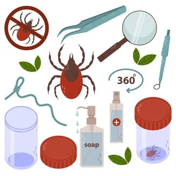 Set of items to pull tick out of skin. Stop ticks sign. Tweezers, magnifyin.. 스톡 일러스트