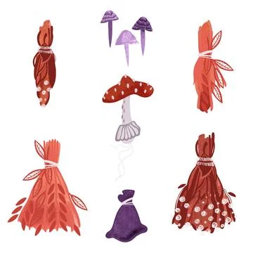 A set of items for witchcraft rituals: red, yellowed, withered dried flower Stock Illustration