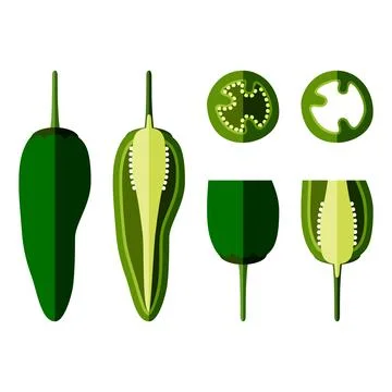 Set of Jalapeno chili peppers. Flat style. Ilustración de archivo